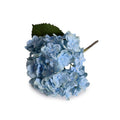 Hydrangea Stem with Leaf, 18" L - Blue