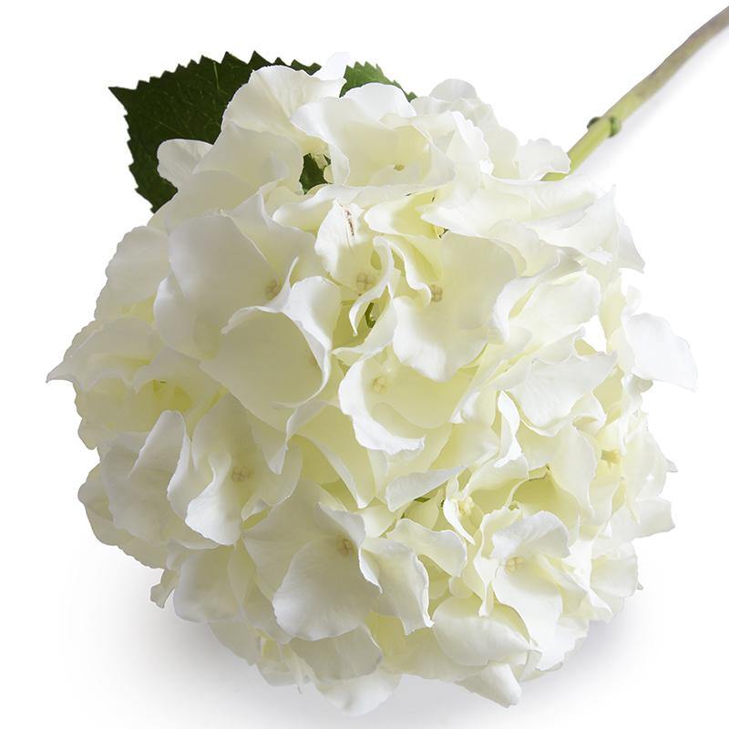 Hydrangea Stem, 26" L, Cream-white