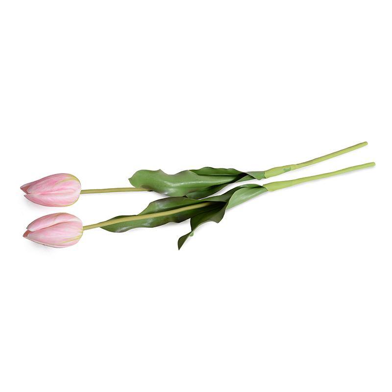 Tulip Stem, French - Pink