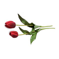 Tulip Stem, French - Red