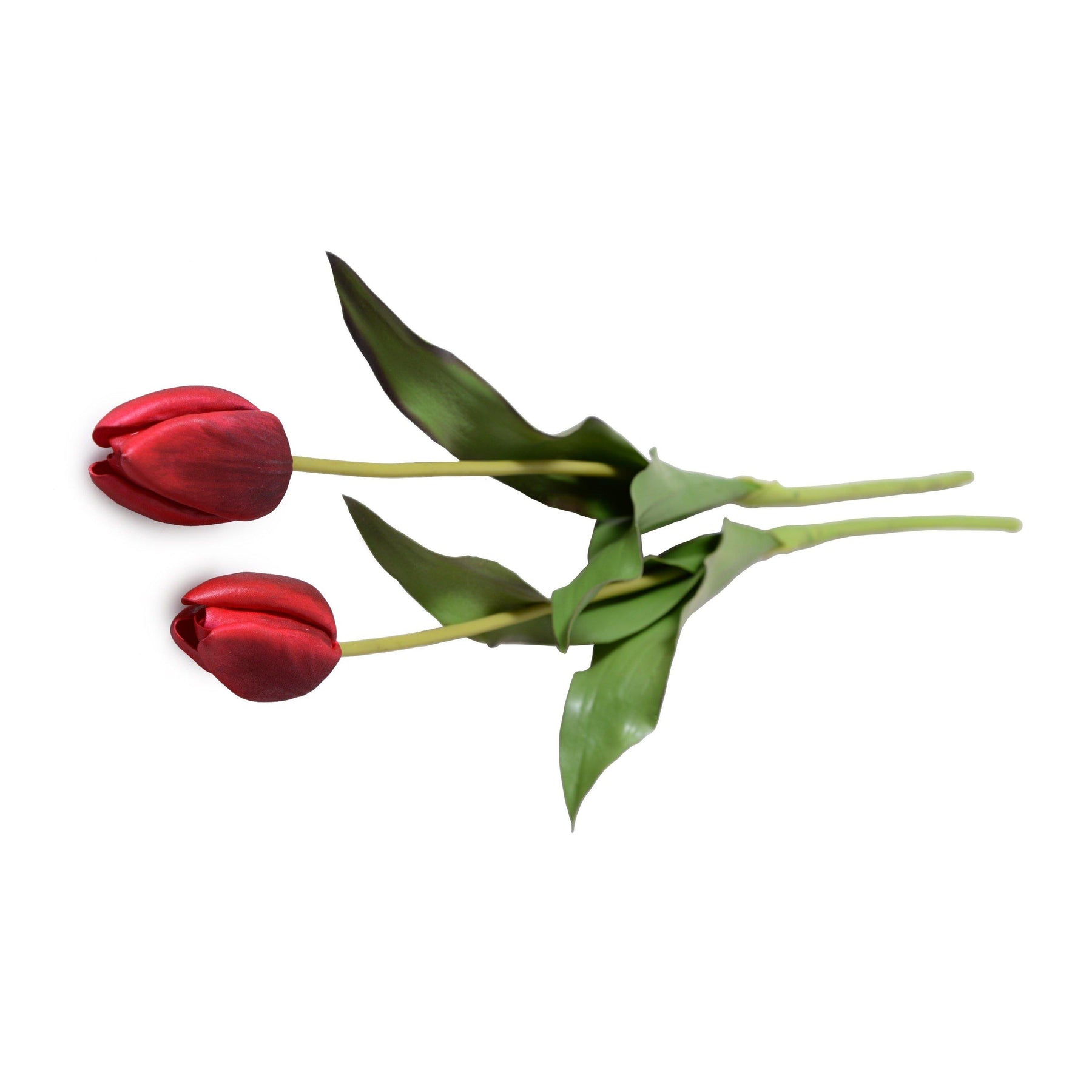 Tulip Stem, French - Red