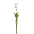 Tulip Stem, 22"L French - White
