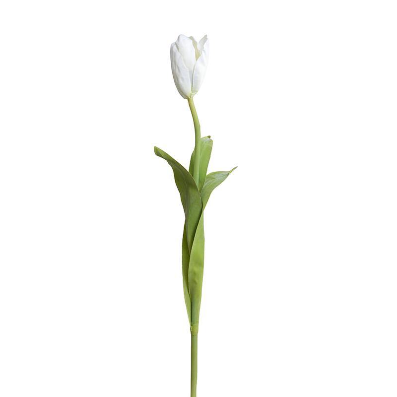 Tulip Stem, 22"L French - White