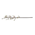Quince Spray, 47" L - Peach