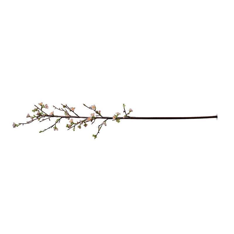 Quince Spray, 47" L - Peach
