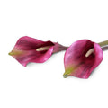 Calla Lily Stem, 30" L - White Burgundy
