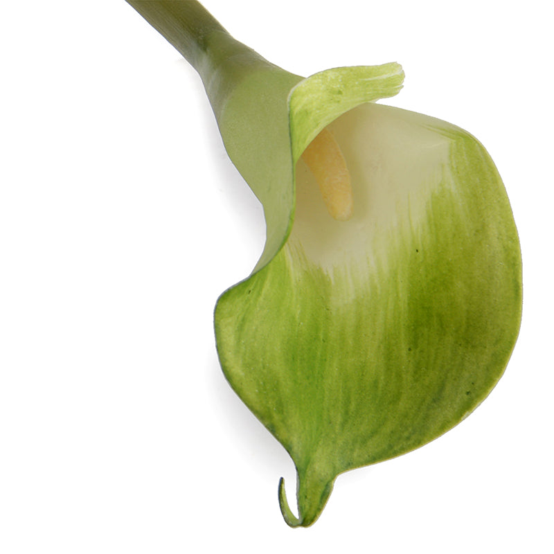 Calla Lily Stem, 30" L - White Green