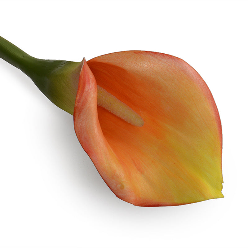 Calla Lily Stem, 30" L - White Orange