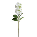 Snowflake (Pee Gee) Hydrangea Stem, 35"L