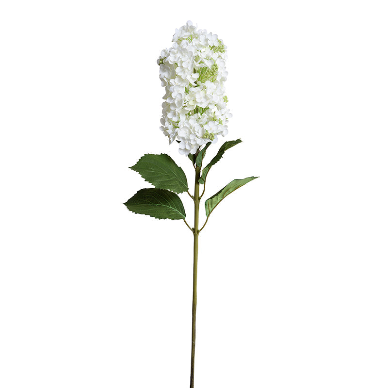 Snowflake (Pee Gee) Hydrangea Stem, 35"L