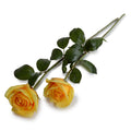 Rose Stem, 29" - Yellow