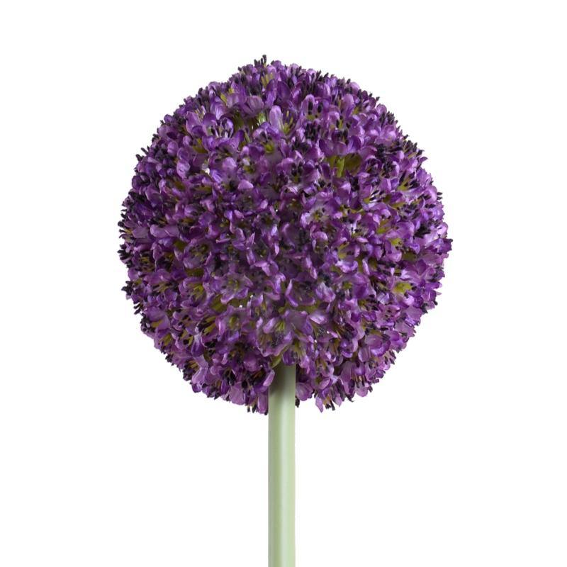 Allium Flower Stem Med 4"D Orchid (Purple)