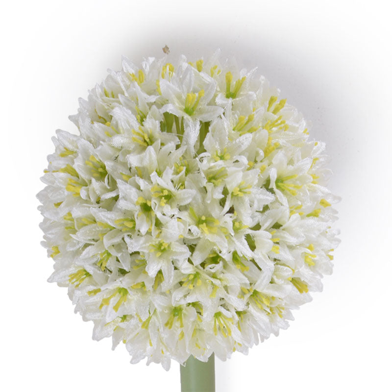 Allium Arrangement in Glass 32"H - Large Flowers White