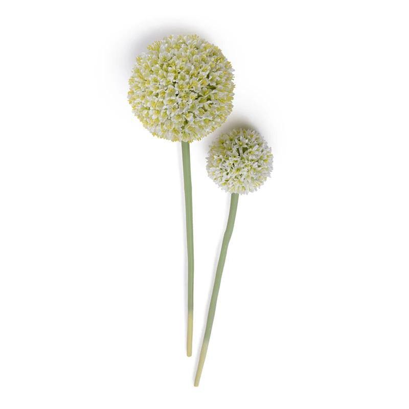 Allium Flower Stem Large 5.5"D White