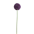 Allium Flower Stem Large 5.5"D Orchid (Purple)