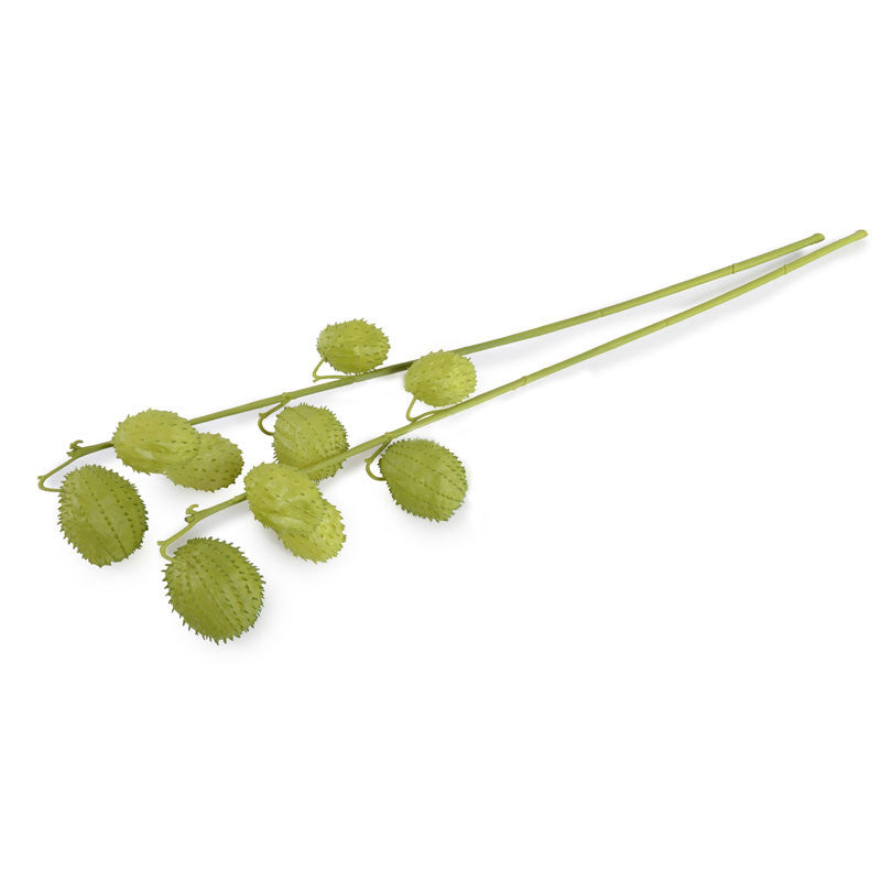 Milkweed Branch with Fruit, 34" L -