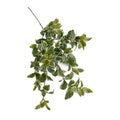 Privet Foliage Spray, 36"L - Variegated