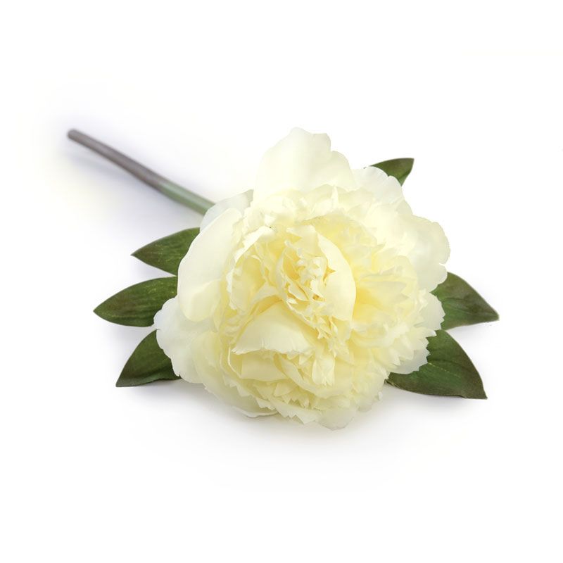 Peony Stem with Leaves, 18" -Cream