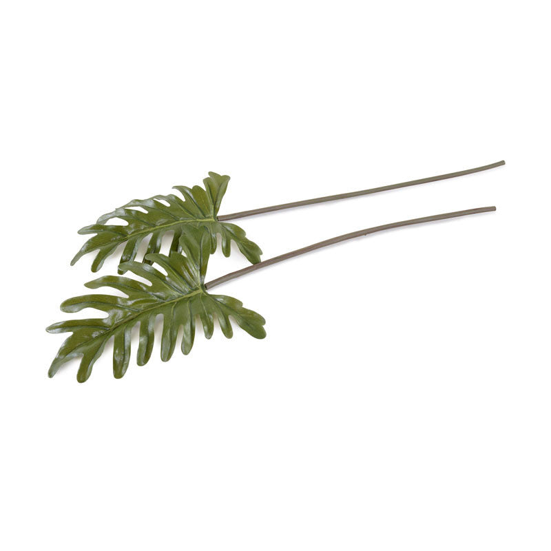 Philodendron Leaf Pick, 7" L