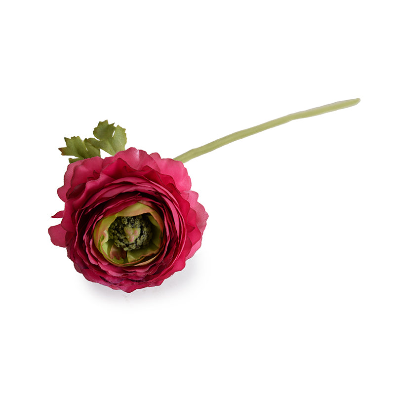 Ranunculus, 15" L - Beauty