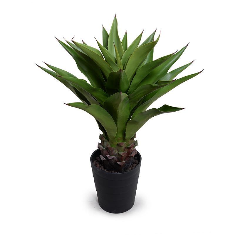 Agave Plant 32"H