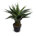 Agave Plant 24"H