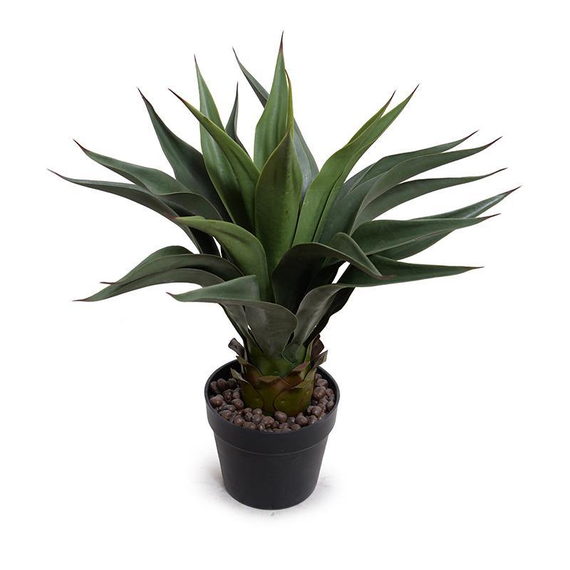 Agave Plant 24"H