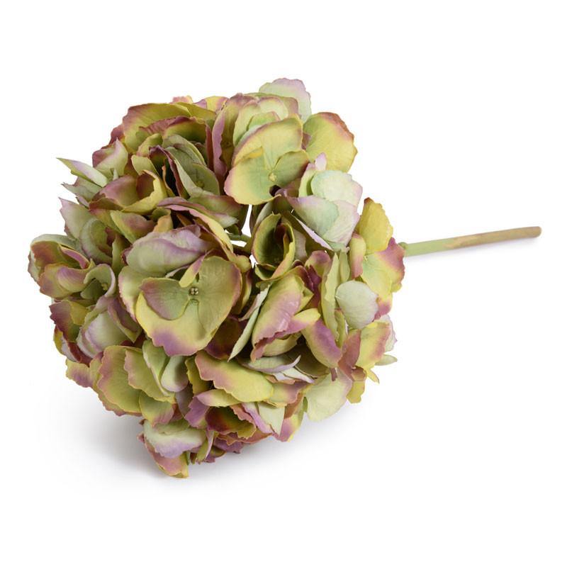 Hydrangea Stem, 19" L - Green-purple