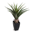Agave Plant 28"H