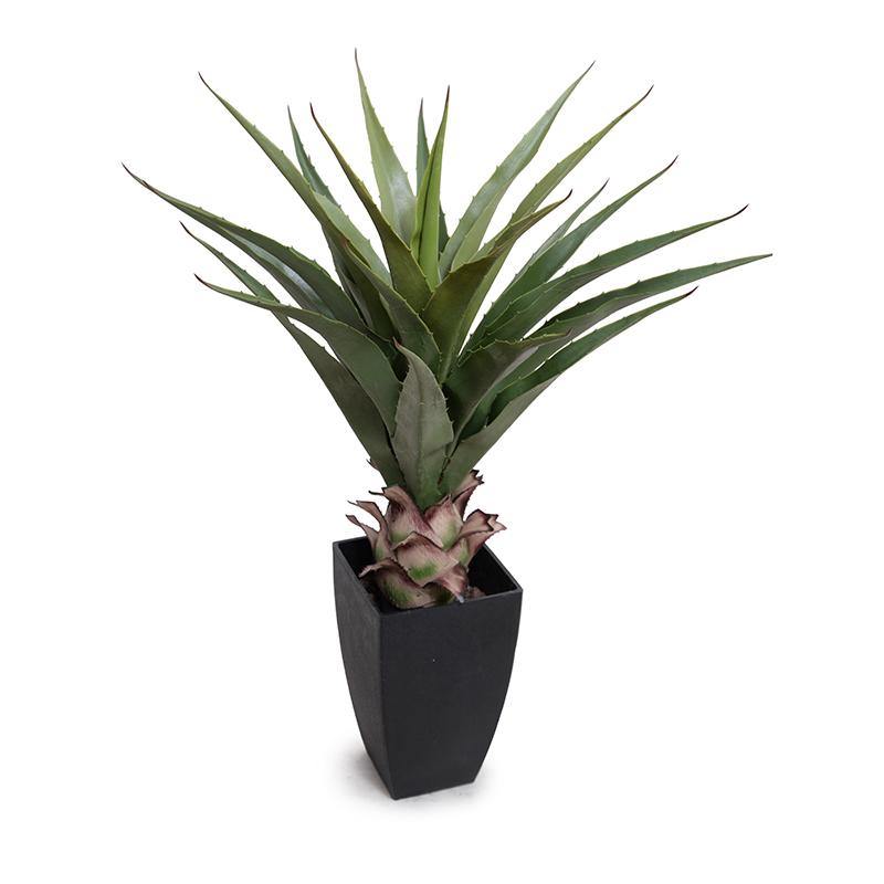 Agave Plant 28"H