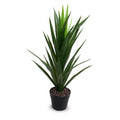 Yucca Plant 30"H