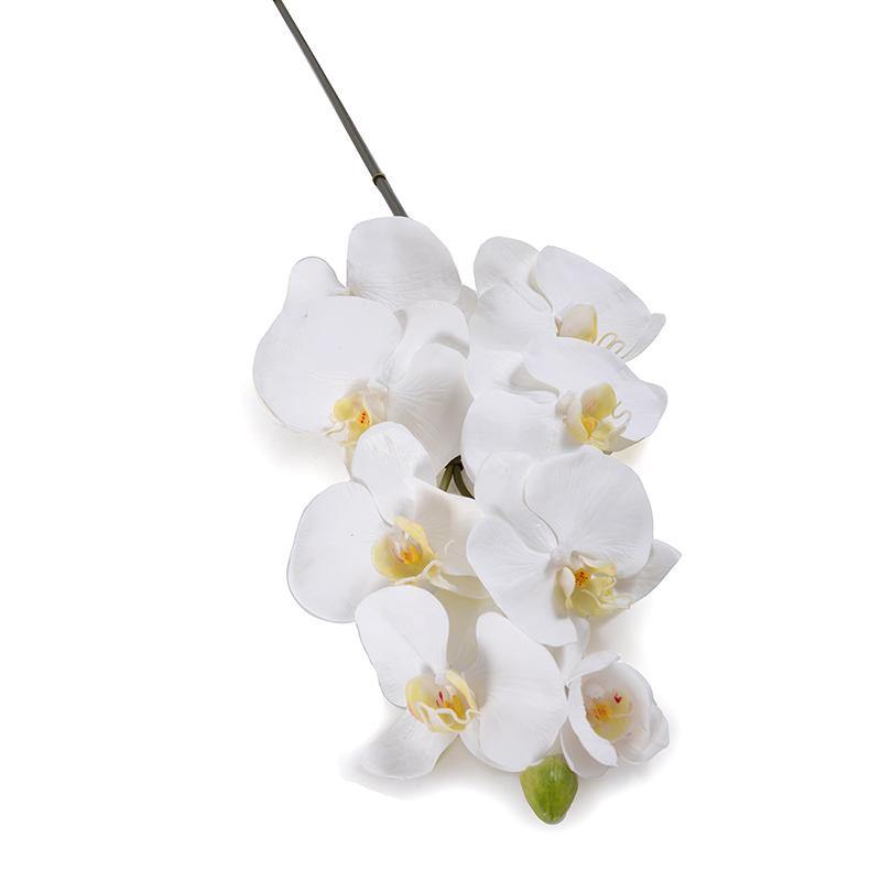 Phalaenopsis Orchid x8 w/Bud 40"L