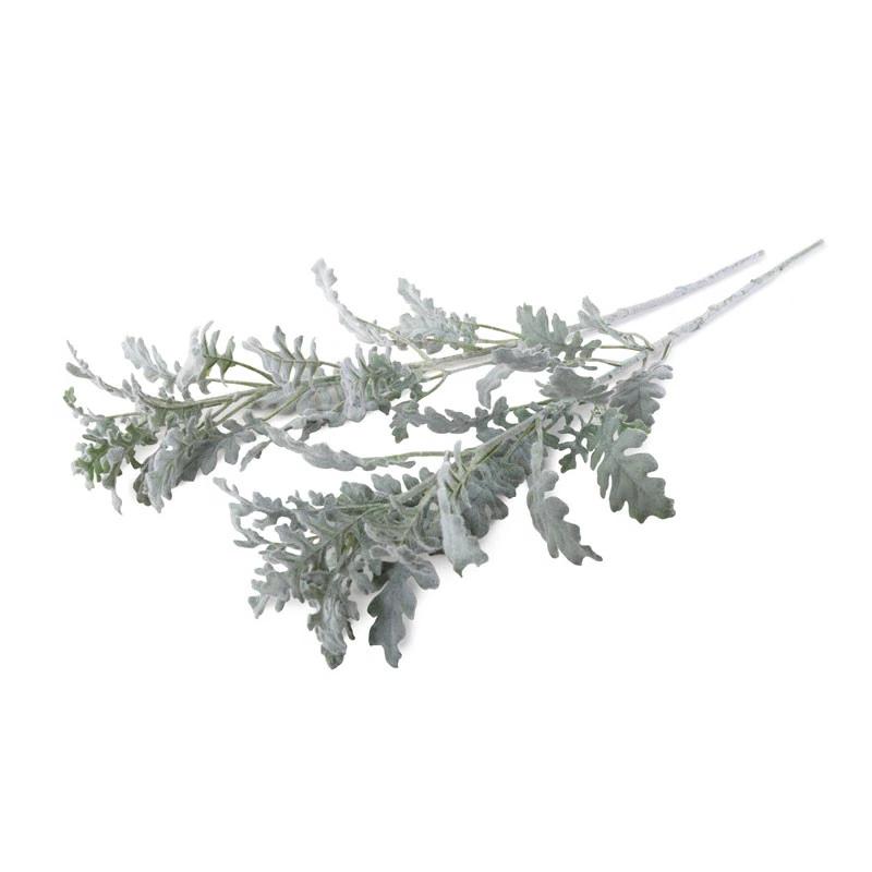Dusty Miller Spray, 30" L