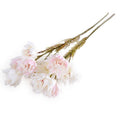 Protea Flower Stem, 24" L - Blush Pink