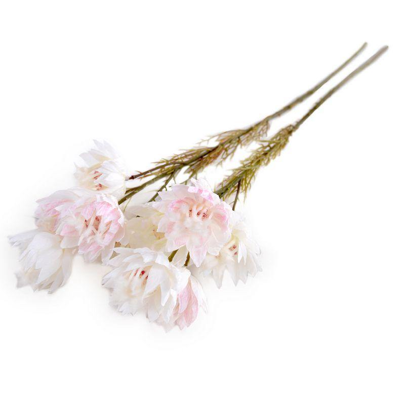 Protea Flower Stem, 24" L - Blush Pink