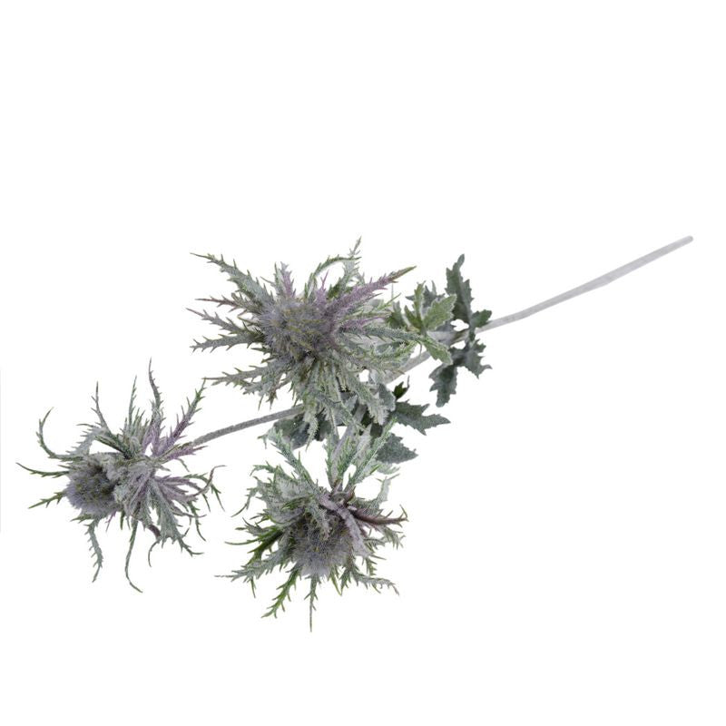 Thistle Spray