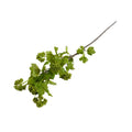 Viburnum Spray, Deluxe