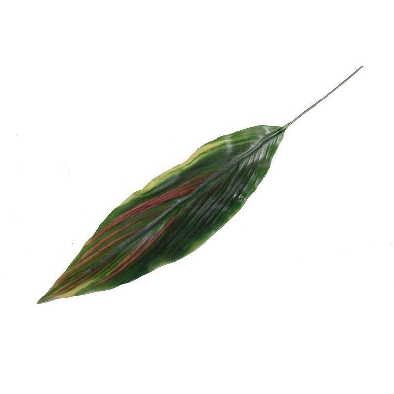 Aspidistra Leaf, 37" L - Red Green