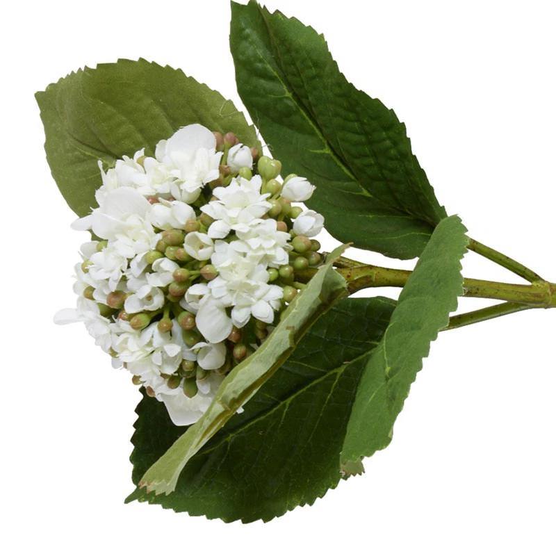Hydrangea Bud Stem with Leaf, 28" L - White