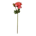 Peony Stem with Bud & Leaves, 28" -Coral