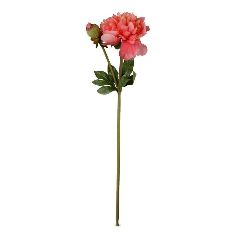 Peony Stem with Bud & Leaves, 28" -Coral