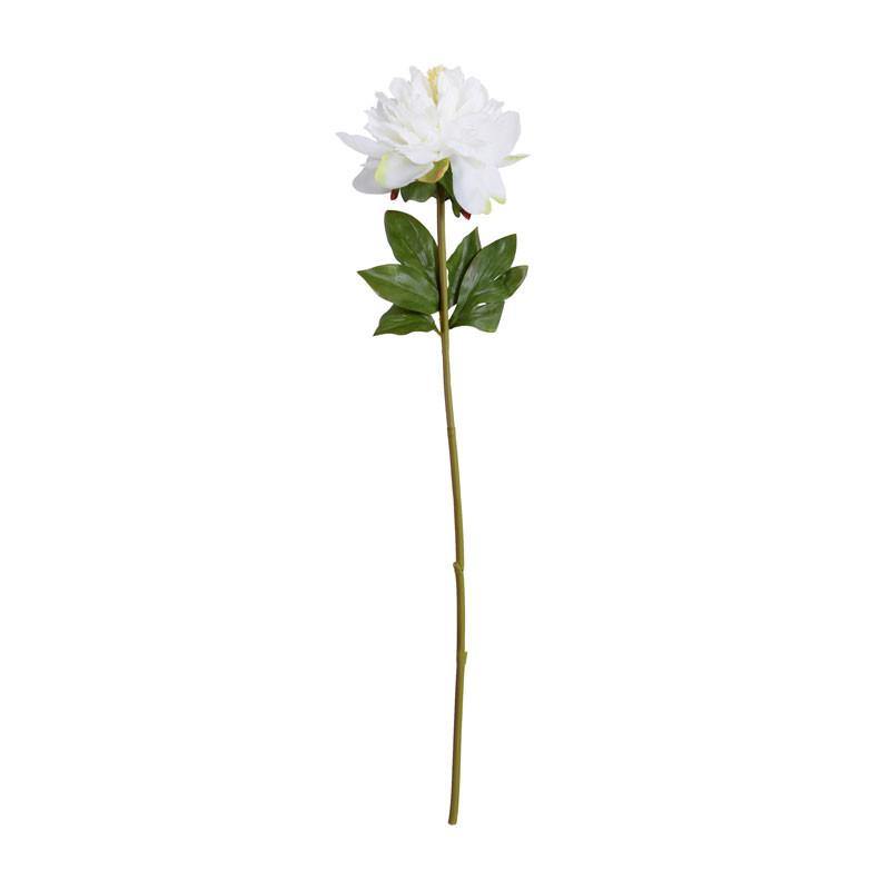 Peony Stem with Leaves, 28" -White