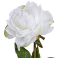 Peony Cutting in Glass 9"H White
