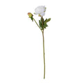 Peony Stem with Bud & Leaves, 28" -White