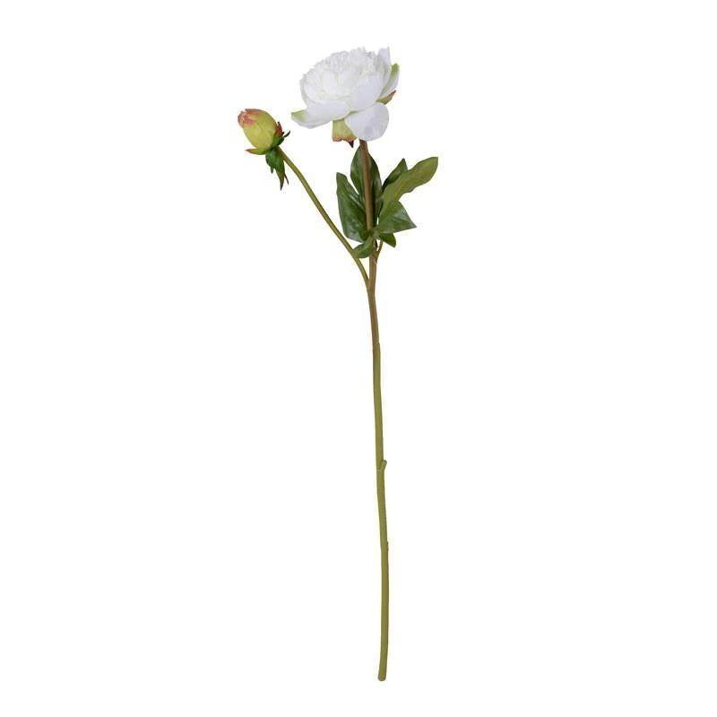 Peony Stem with Bud & Leaves, 28" -White