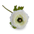 Ranunculus Stem, 15"L - White