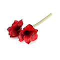 Amaryllis Stem, 27" L - Red