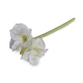 Amaryllis Stem, 27" L - White