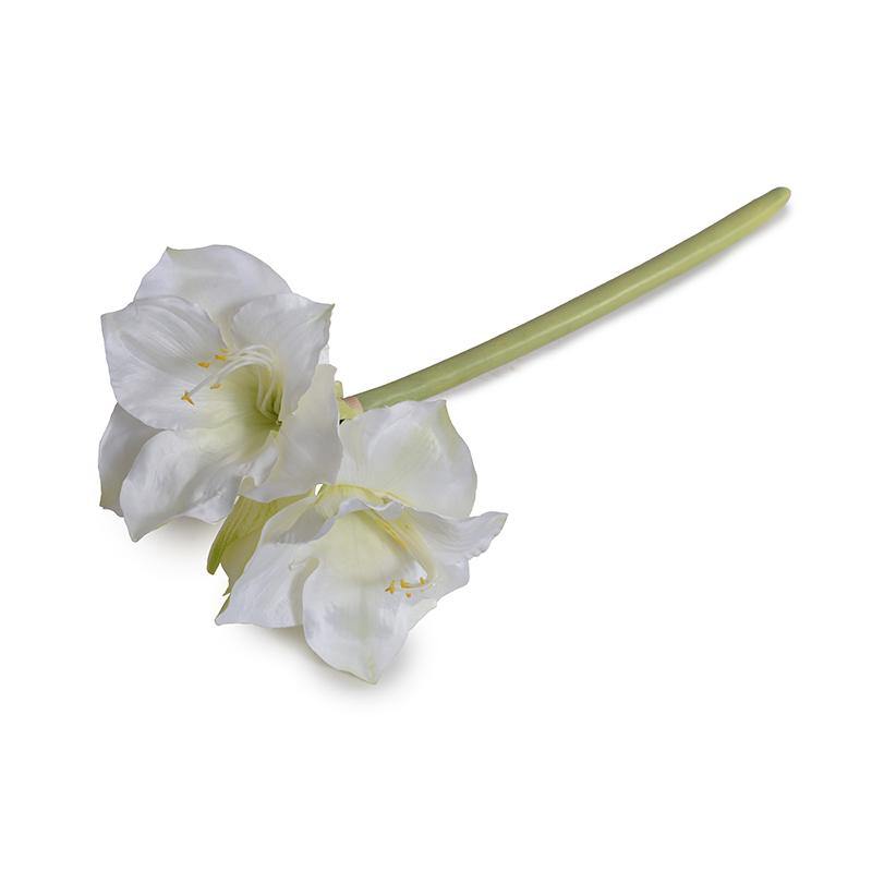 Amaryllis Stem, 27" L - White
