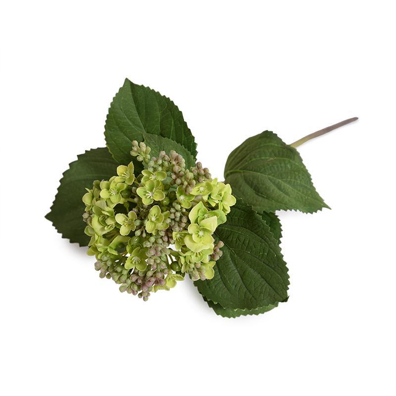 Hydrangea Bud Stem - Spring Green